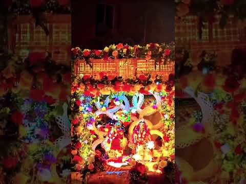 Bhakti song|Hindi bhakti song|Radha Krishna bhakti song|Janmastami special|#yshorts #viralshort