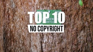 Pop Music - Don't Turn Back (Top10 No Copyright Music)