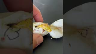 🥚🐍 Witness a magical moment: Baby green tree python's first breaths! 🎉💨