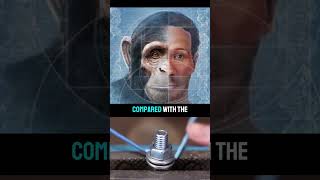 Exploring the Evolution of Intelligence: Tyson Compares Humans and Chimps🧬🐵