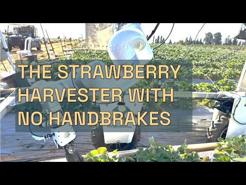 The Strawberry Harvesting Robot With No Handbrakes