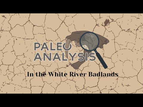 Fossil Hunting: The White River Badlands (Removing a 33 million year old Tortoise fossil)