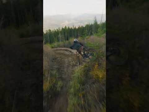 Fastest DH Mountainbiker in the world?