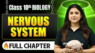 Nervous System Complete Chapter in One Shot | Class 10 Biology | ICSE Board