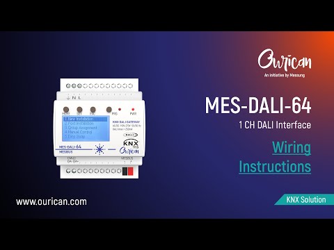 MES-DALI-64 | Wiring Instructions | Messung Ourican | #OuricanAutomation