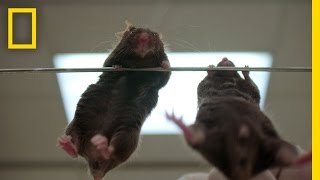 Ron Howard on Science and Technology | Breakthrough