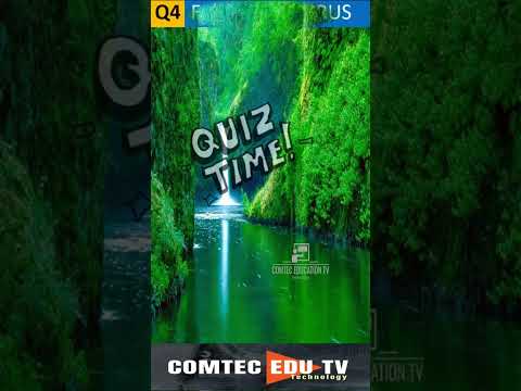 Computer Quiz Part-3 ✌️| आओ खेलें | #shorts #youtubeshorts #quiz #quiztime