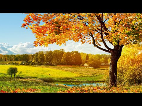 Soothing Your Hurt And Give You Good Motivation With Healing Music Of Archangels