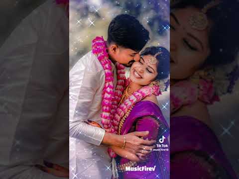 Love songs Tamil ❤️💞
