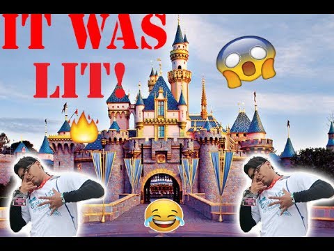 I WENT TO DISNEYLAND!!