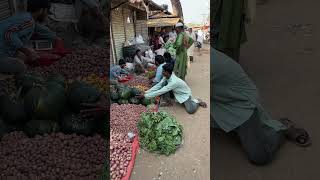 Pumpkin gone without notice 😆😝#funny #comedy #funnycomedy