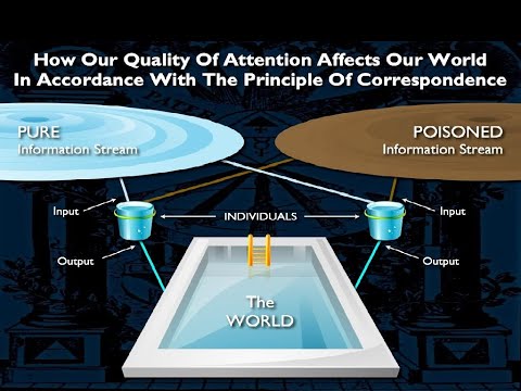 How Our Quality Of Attention Affects Our World