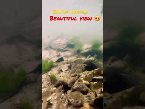 iPhone ka Kamal ka underwater view❤️ #viralshort #iphone shorts