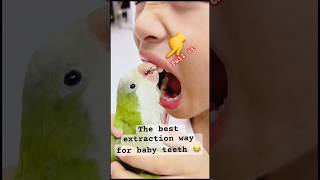 The best way removal baby tooth