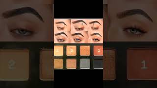 Follow this eyeshadow guide for a perfect eye look#makeuptipsforbeginners #ytshorts