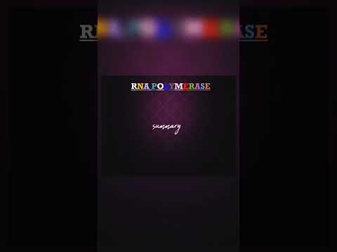 *RNA Polymerase*#csirnet #deeplearning #quickrevision #molecularbiology #science #utubeshorts