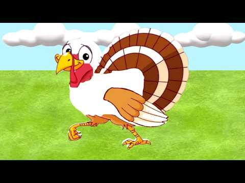 Two Children's Thanksgiving Songs- 1.)Itty Bitty Turkey, 2.) Wings and Feathers, Beak and Waddle