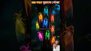 500 বছর পুরনো পোকা #shorts#ytshorts#trending#beetle#bengali