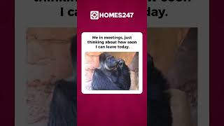 Corporate Meme #memes #employeememes #funnyreels #memes #employeereels #shorts #reels #officememes