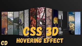Simple 3D Hover Effect | Clear Explanation with HTML, CSS & JavaScript