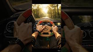 POV: Steering a Cardboard Wheel