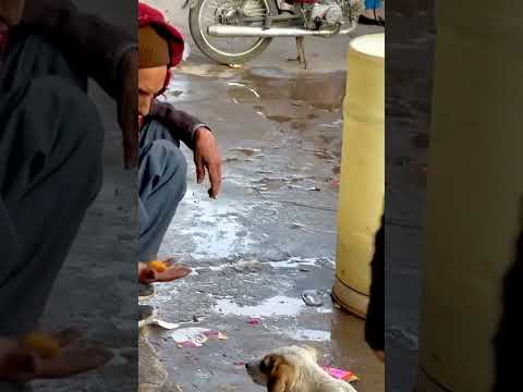 Humanity still alive 🥺🥺 #foryou #shorts #growchannel #viral #video