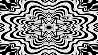 VJ Loops Kaleidoscope - Black & White Vj loops Mandala
