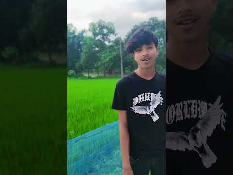 কারো জন্য মায়া বাড়িয়ে লাভ নাই টাকা আছে যার মায়াবতী তার