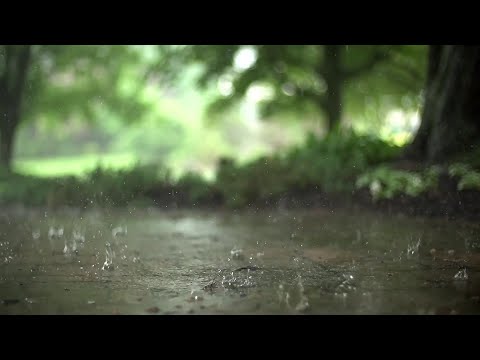 Relaxing music with rain sounds| soothing music to relax your mind