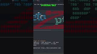 The Metasploit Framework: Its Database, Modules And Exploits (3) #short #cybersecurity #metasploit