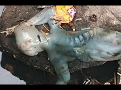 Fake or not? Dead Alien or Extraterrestrial found in Latin America?