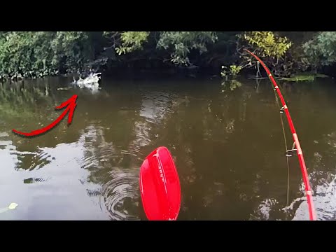 CATFISH ARE THERE! | "RIVERSIDE" [S2] Episode 3
