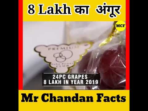 8 लाख का अंगुर #shorts || Most Hight Rate Graph #youtubeshorts || Mr Chandan Facts || #apple