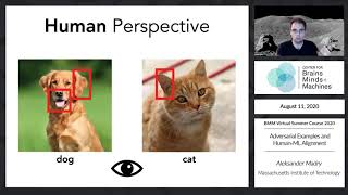Adversarial Examples and Human-ML Alignment