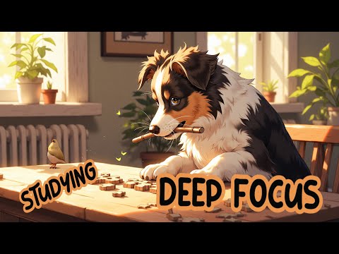 Smart Study Playlist | Stay Focused | Study Mode On 🎵