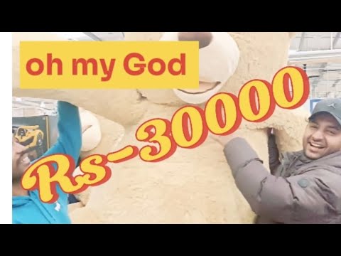 RS-30000 teddy bear 🧸||30000 രൂപ  എന്റെ ദൈവമേ#shorts #youtubeshorts #teddybear #toys #kerala