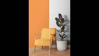 Adobe Photoshop 2025 Tips - How to Change Wall Paint Color #ducthangds