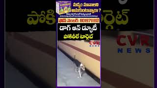 "డాగ్ ఆన్ డ్యూటీ"... పోకిరీలే టార్గెట్ | Viral Video | CVR NEWS