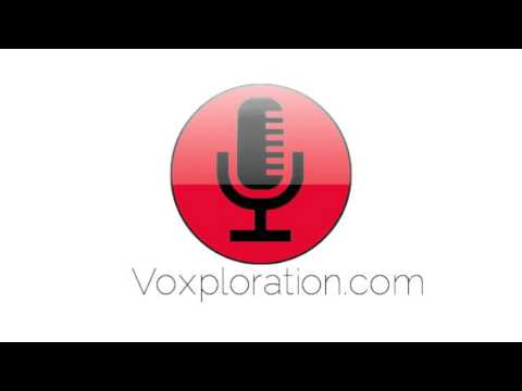 Voxploration Sample3