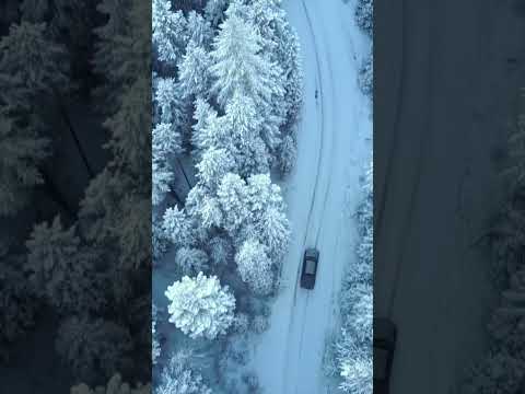 A Musical Drive Through a Snowy Forest #shorts