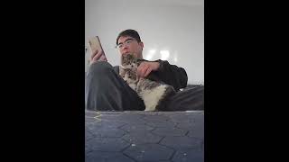 Cat under surveillance#cat#catsoftiktok#funnyvideo#fyp#pet