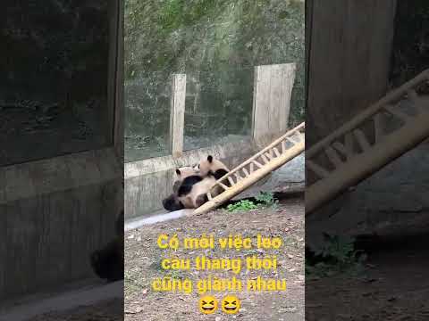 những người bạn vui nhộn😊😊