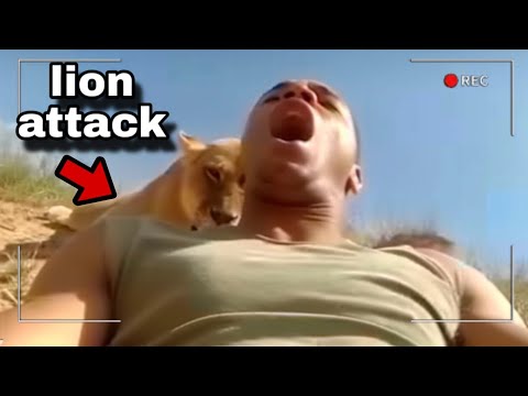 Recorded Moments Before Tragedy Happens