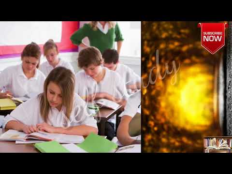 History: The Age of Industrialisation (Part 2)