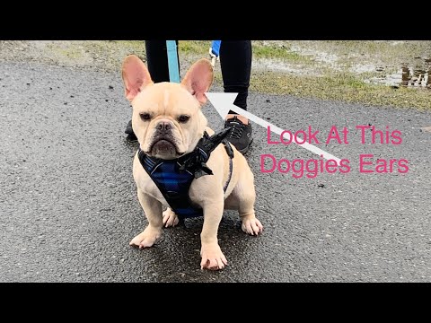 Thrifting song jingle Thriftshop music John Little saving money