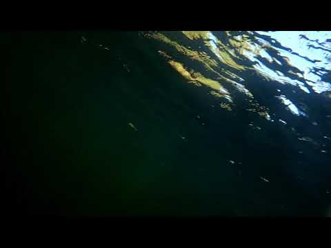 hana highway cliff jump