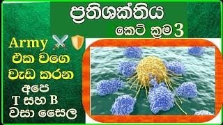 A/L Biology short  cuts- immunity 03