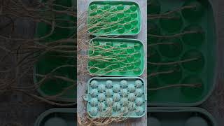 grape Soap #satisfying #shorts #shortvideo #ytshorts #youtubeshorts #short #explore #viral #fyp