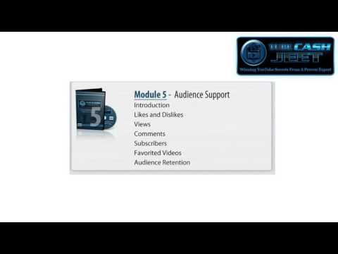 YouTube seo tutorial - Thousands of views a month strategy - YouTube seo tutorial software
