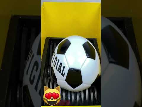 science experiments #shorts #short #viral  |  bigscienceexperiment23